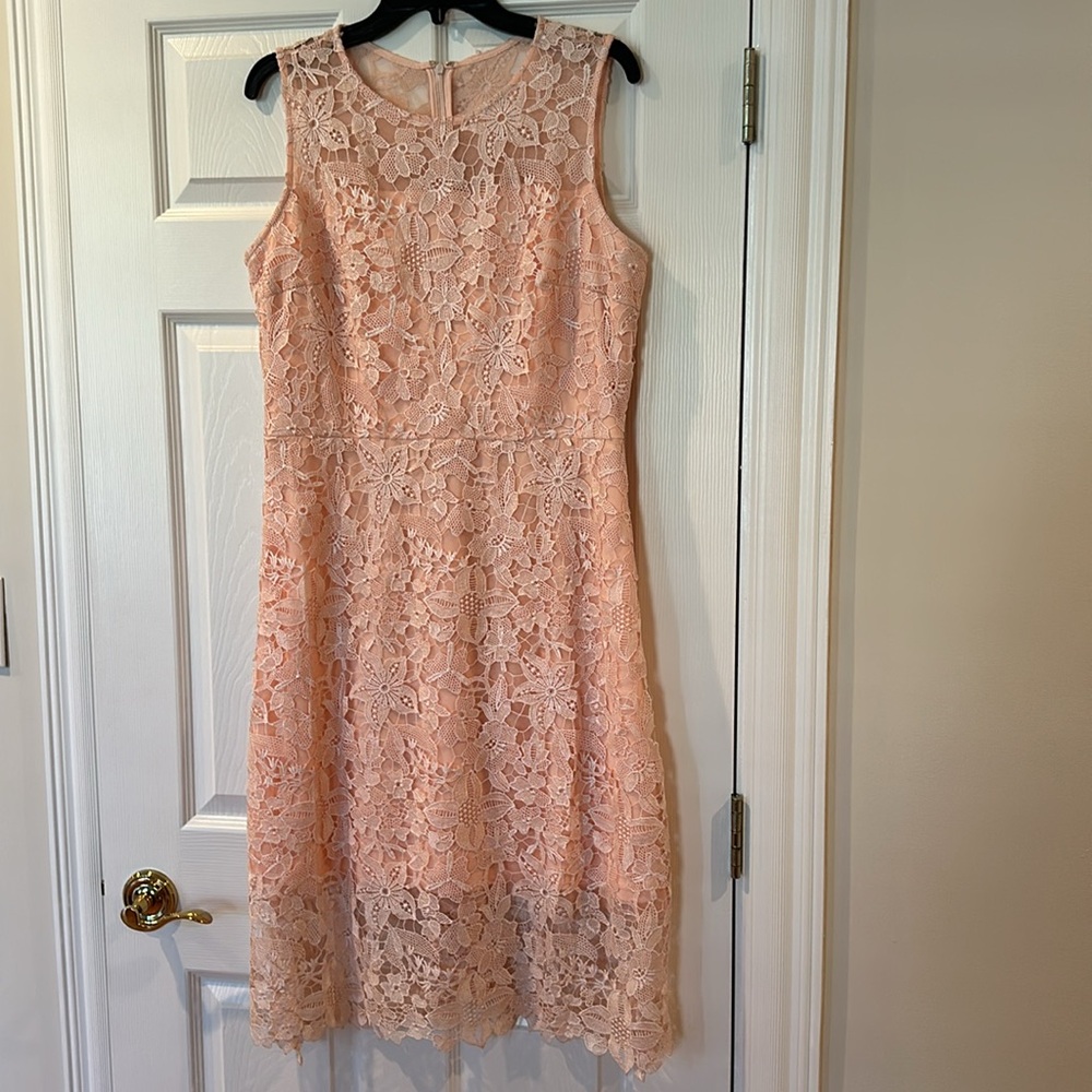 Women’s NWT Size 14 Dress Fitted Lace Overlay Sheer Bodice and Lower Hem